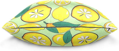 Yellow Lemon Microfiber Pillow Cases 1 Pack Satin Pillowcase with Zipper Closure for Living Room 18x18