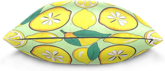 Yellow Lemon Microfiber Pillow Cases 1 Pack Satin Pillowcase with Zipper Closure for Living Room 18x18