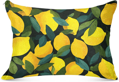 Pillow Covers 1 Pack Pillowcase with Zipper Standard Size Fluffy Pillow Cases 20x26 Inch Decorative Rectangle Yellow Lemons Black