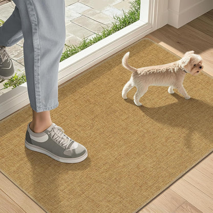 Ultra Thin Indoor Door Mat 17"x29", Non Slip Low-Profile Doormats