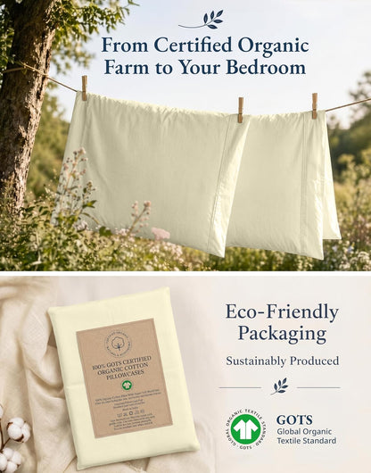 100% Organic Cotton King Size Pillow Cases Set of 2 (20''x36'') Pure Organic Cotton Pillowcases Light Yellow